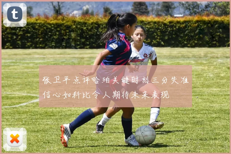 张卫平点评哈珀关键时刻三分失准信心如科比令人期待未来表现