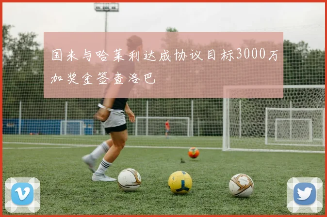 国米与哈莱利达成协议目标3000万加奖金签查洛巴