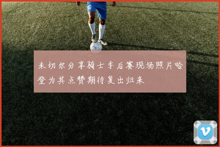米切尔分享骑士季后赛现场照片哈登为其点赞期待复出归来